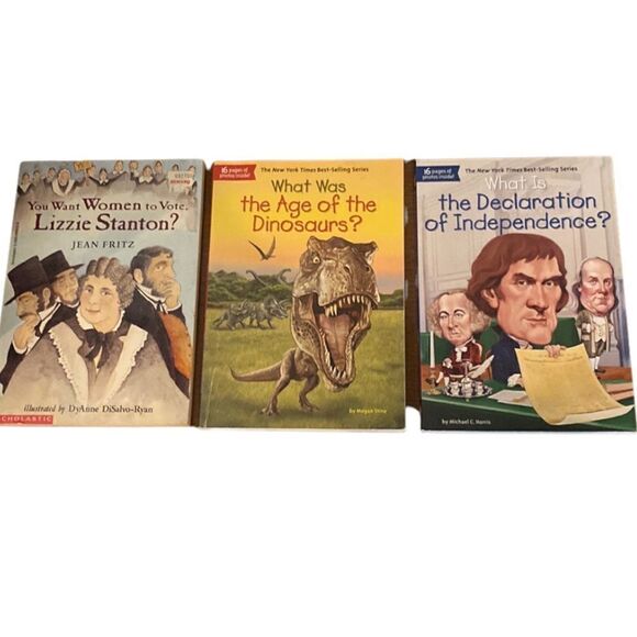 History Chapter books excellent condition 💕💕 - Picture 3 of 11